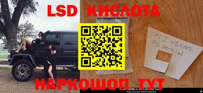 молекула духа Будённовск