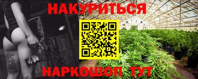 молекула духа Будённовск