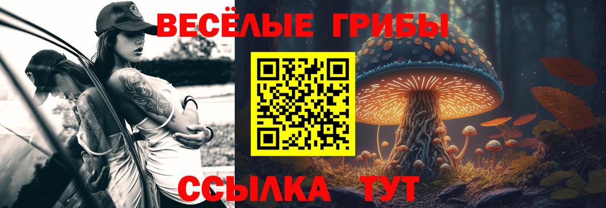 Киреевск  Псилоцибиновые грибы ЛСД  Вход с VPN 